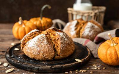 tm_kurbisbrot-mit-topfen_header.jpg